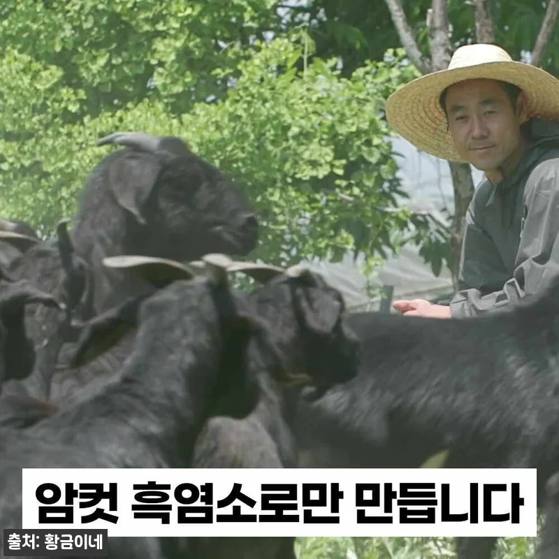 황금이네 자연방목 흑염소진액 150포 관련 이미지 6