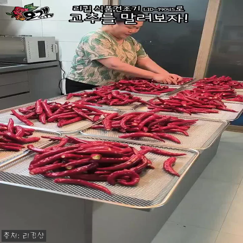 리큅 10단 풀스텐 식품건조기 LID 관련 이미지 6