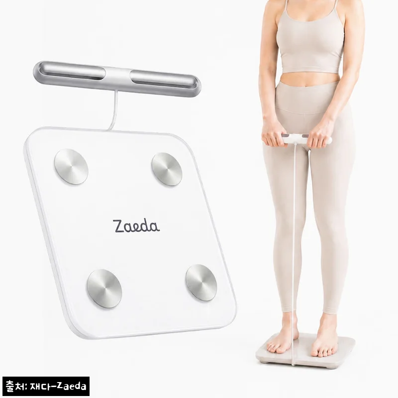 Zaeda Body X8 가정용 8전극 AI 스마트 체성분계, 체중만 재던 습관을 바꿔줄 이슈템 후기